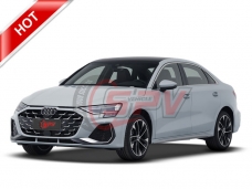 AUDI A3 Daily Car